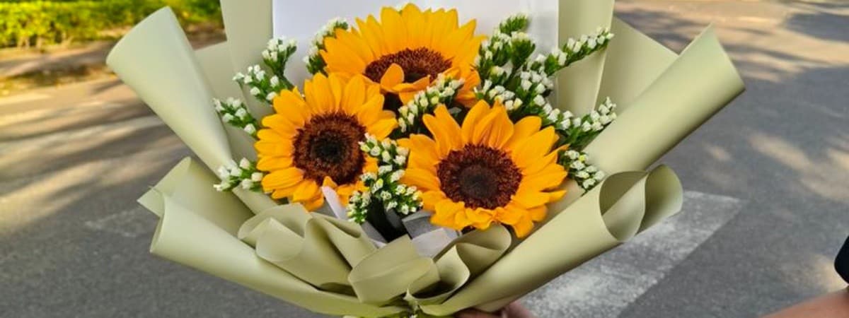 Capa de Vale das flores