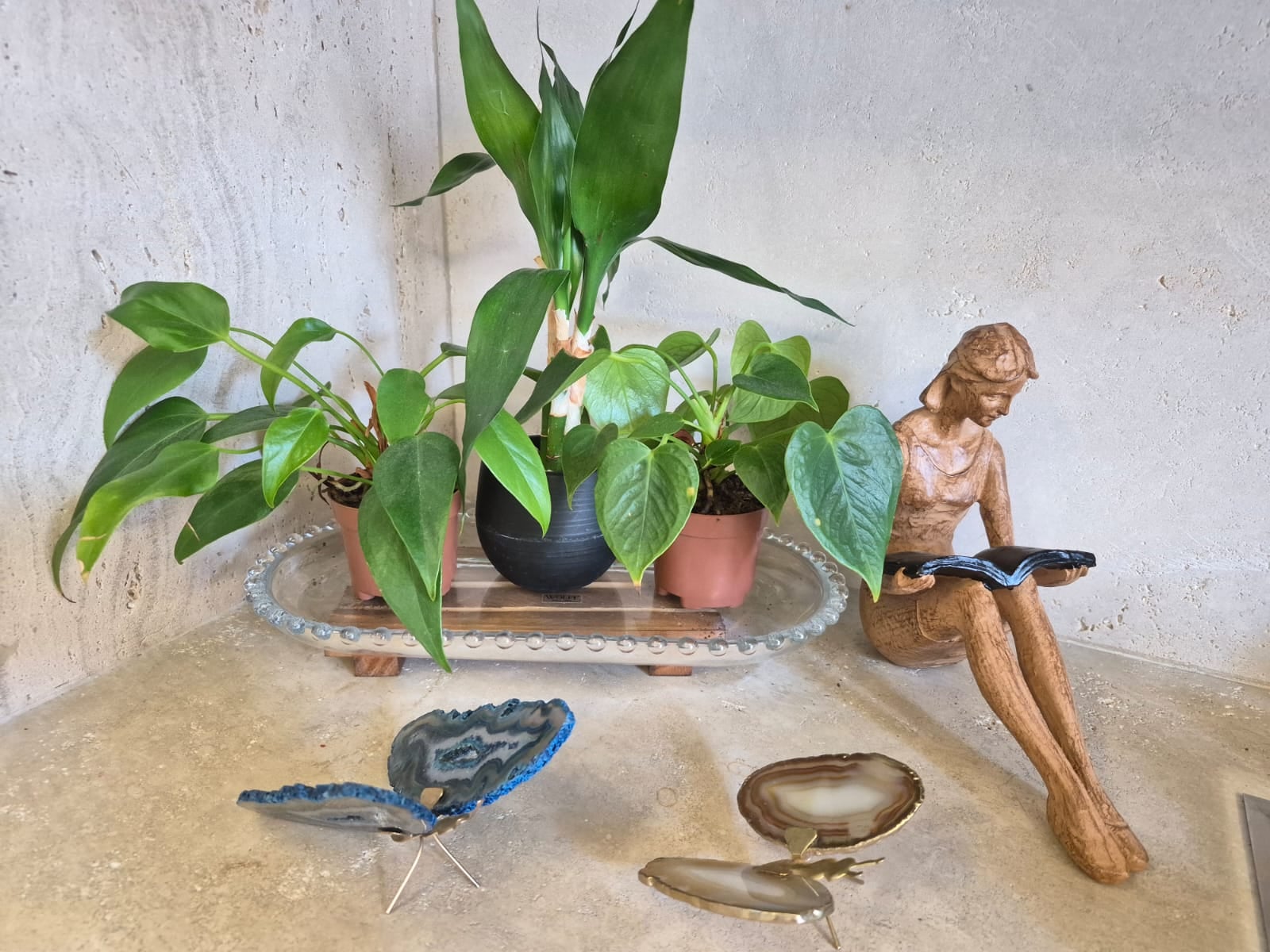 Capa de Flor d'Alma atelier
