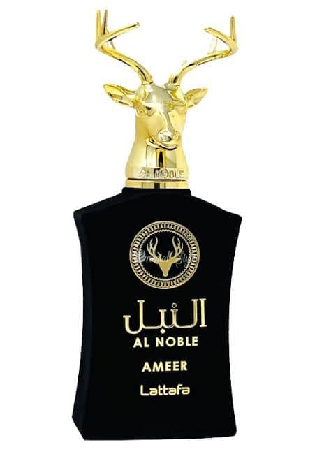 Body Splash Inspirado no Ameer - 30ml
