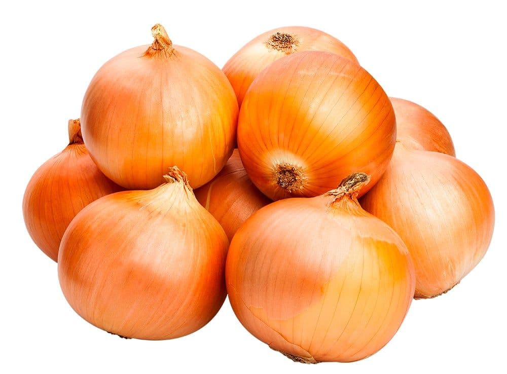 Cebola orgânica