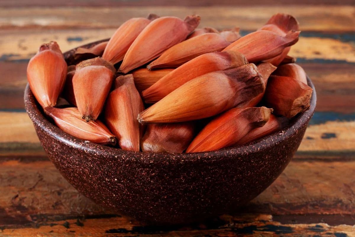 Pinhão