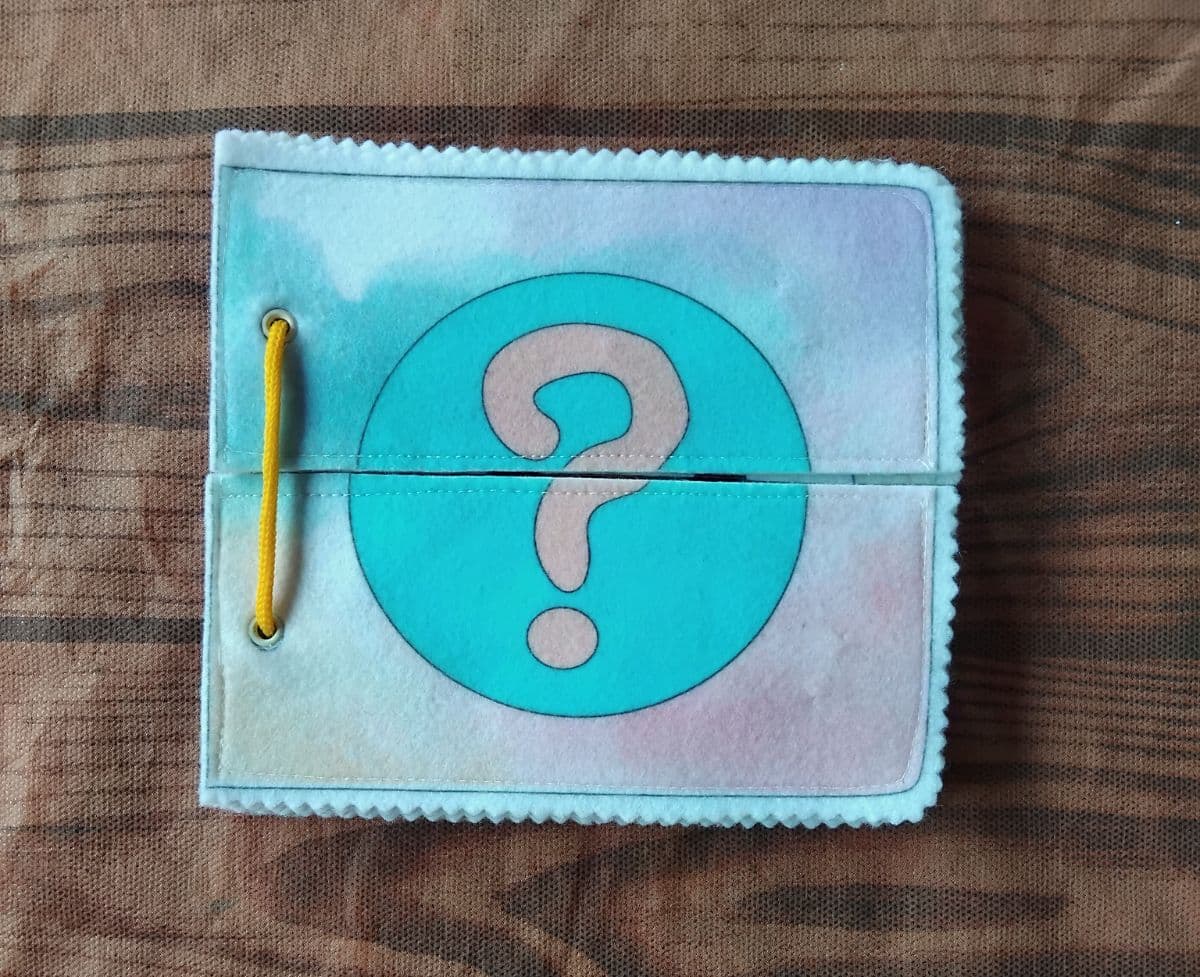 Livro Que bichinho sou?
