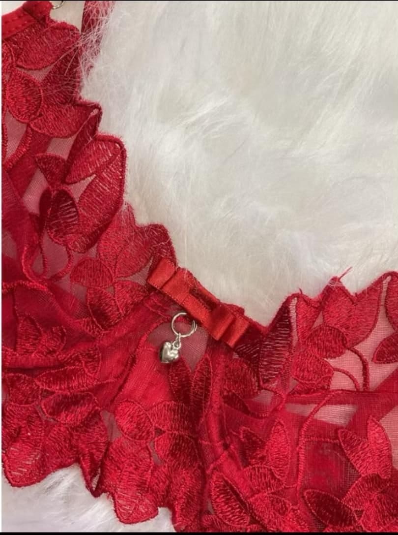 Lingerie sedução vermelha 🔥 - Foto 3