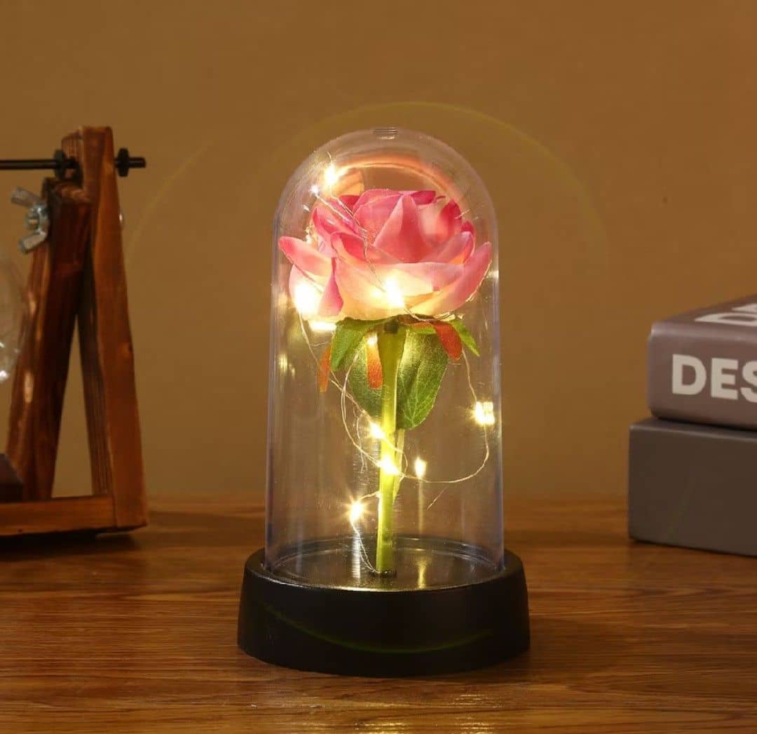 Rosa encantada na cúpula com luzes de fada- presente romântico