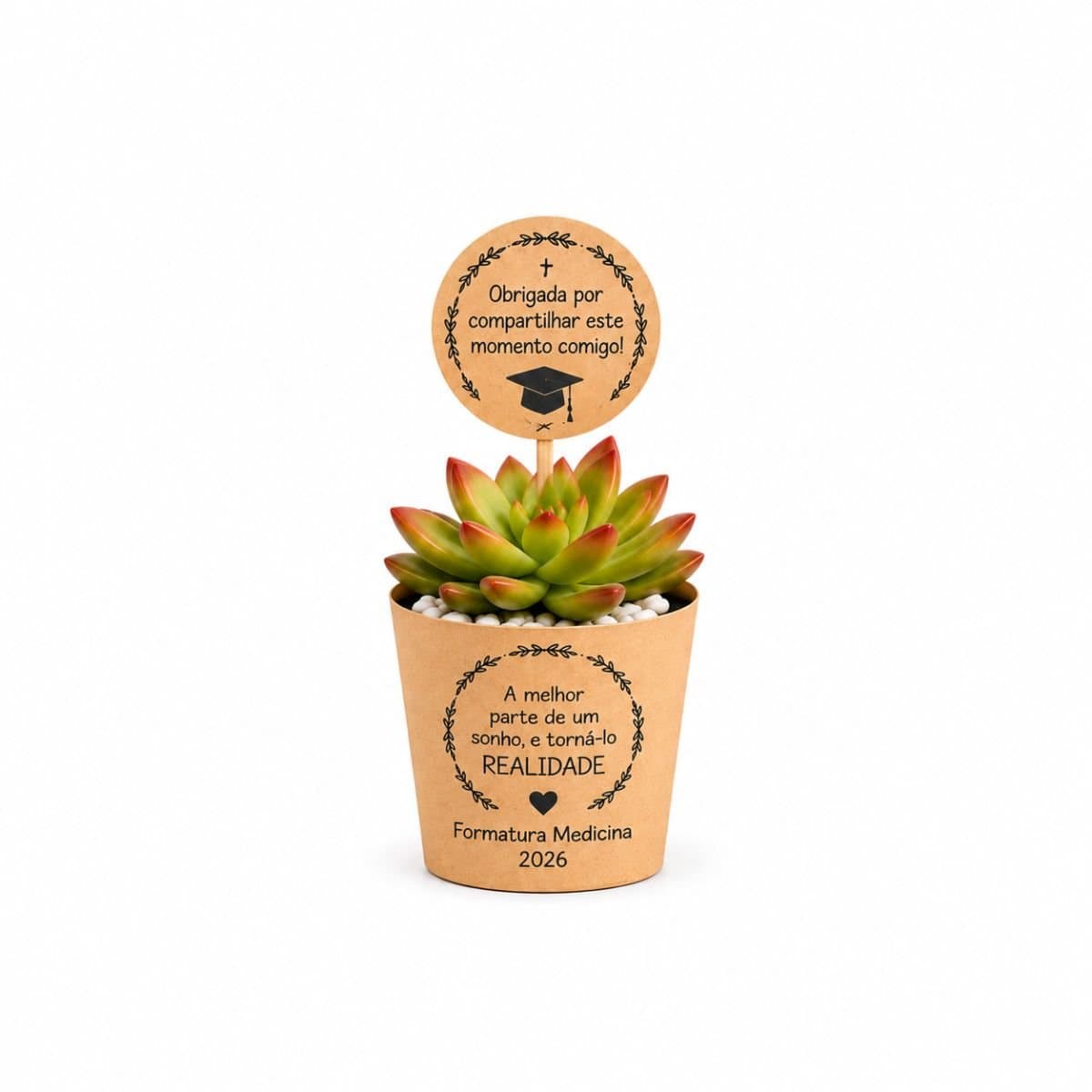 Mini suculenta