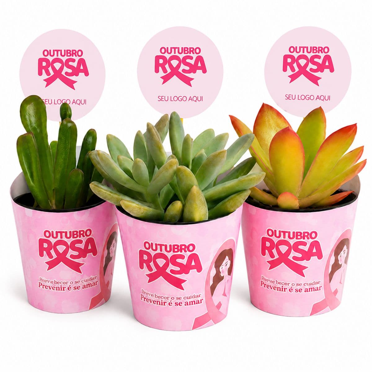 Mini suculentas