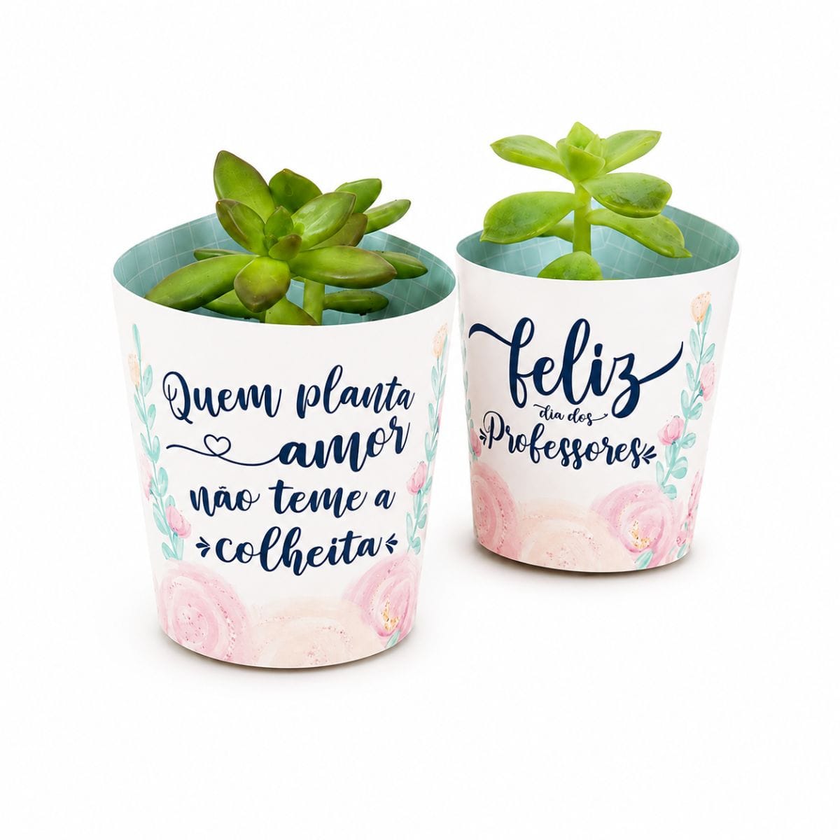 Mini suculentas - Foto 1