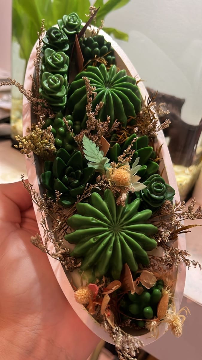 Barca terrário - Foto 1