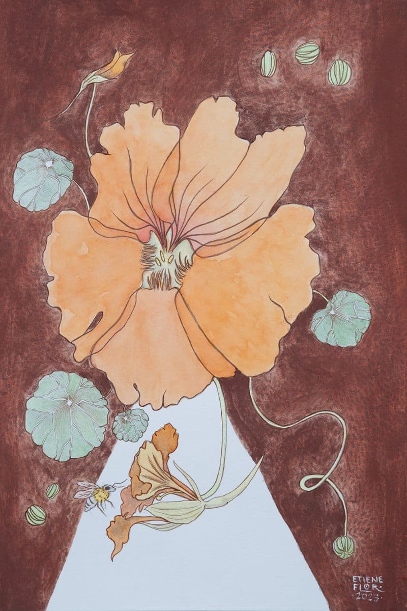 Flor Capuchinha em tinta natural e aquarela
