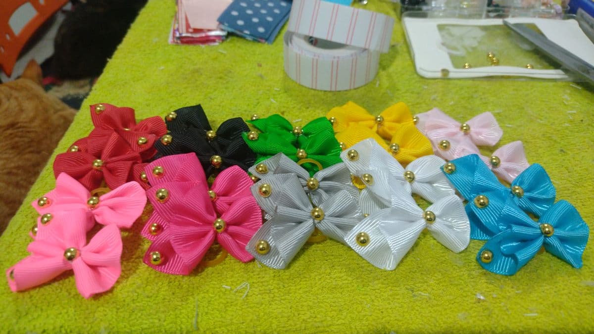 Laços 🎀 Pet🐶