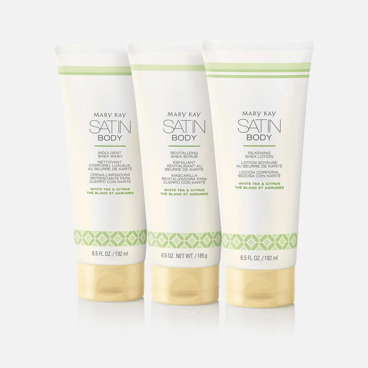 Kit Satin Body® - Foto 1